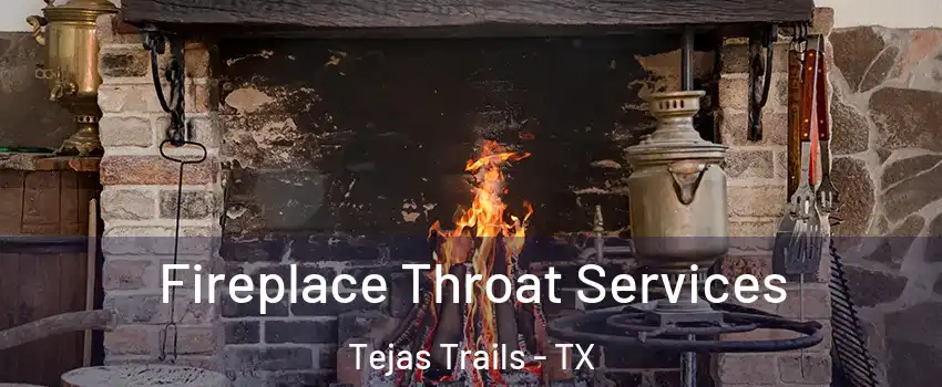 Fireplace Throat Services Tejas Trails - TX