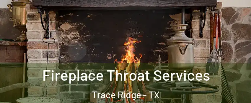 Fireplace Throat Services Trace Ridge - TX