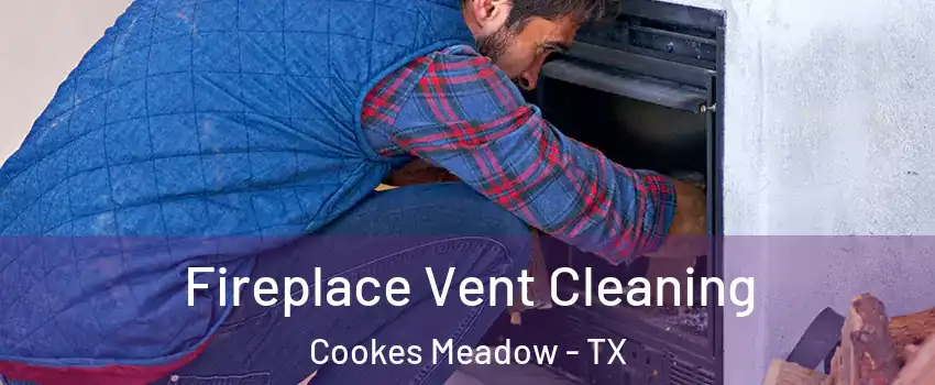 Fireplace Vent Cleaning Cookes Meadow - TX