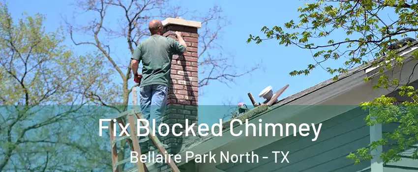 Fix Blocked Chimney Bellaire Park North - TX