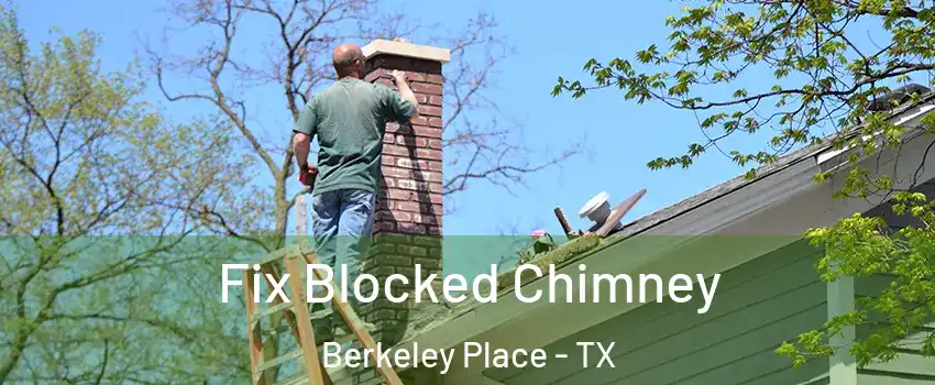 Fix Blocked Chimney Berkeley Place - TX