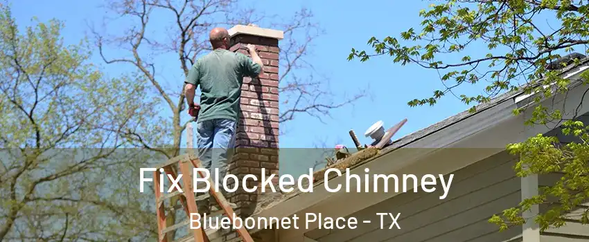 Fix Blocked Chimney Bluebonnet Place - TX