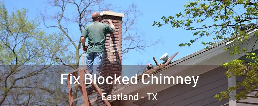 Fix Blocked Chimney Eastland - TX