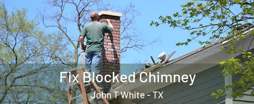 Fix Blocked Chimney John T White - TX