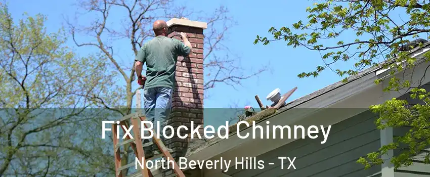 Fix Blocked Chimney North Beverly Hills - TX