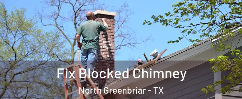 Fix Blocked Chimney North Greenbriar - TX