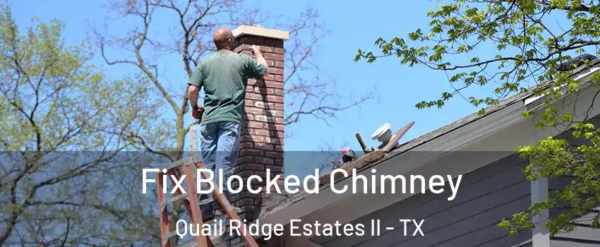 Fix Blocked Chimney Quail Ridge Estates II - TX