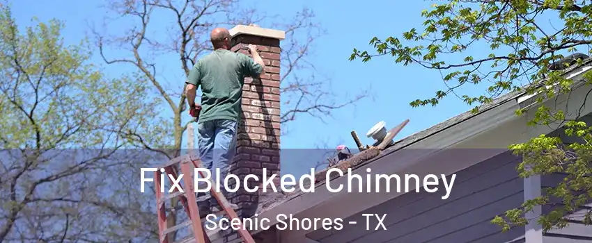 Fix Blocked Chimney Scenic Shores - TX