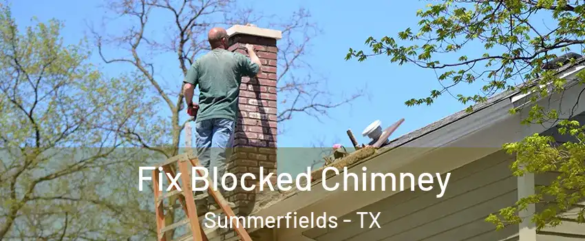 Fix Blocked Chimney Summerfields - TX