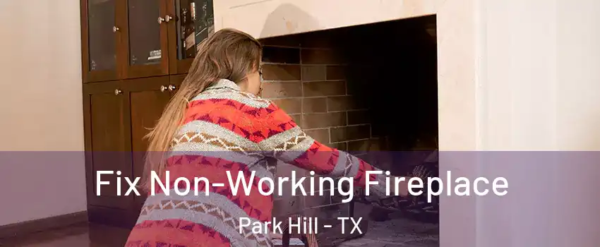 Fix Non-Working Fireplace Park Hill - TX