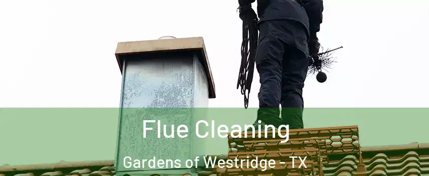 Flue Cleaning Gardens of Westridge - TX