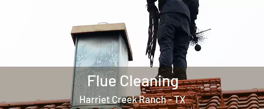 Flue Cleaning Harriet Creek Ranch - TX