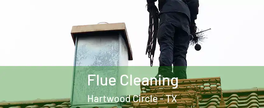 Flue Cleaning Hartwood Circle - TX