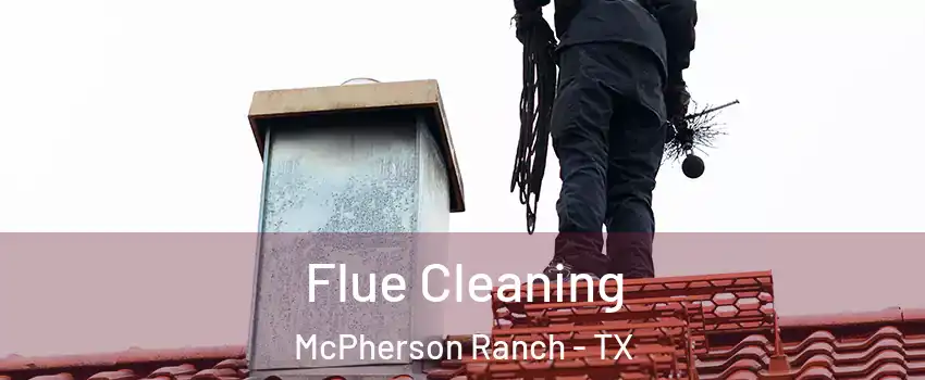 Flue Cleaning McPherson Ranch - TX