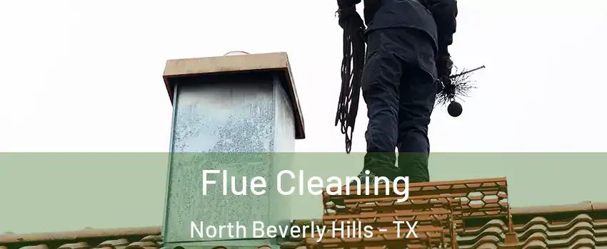 Flue Cleaning North Beverly Hills - TX