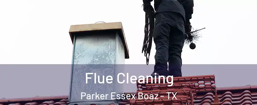 Flue Cleaning Parker Essex Boaz - TX