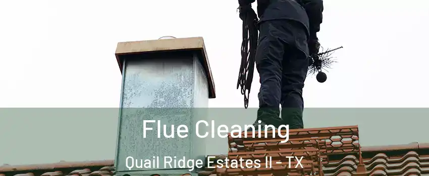 Flue Cleaning Quail Ridge Estates II - TX