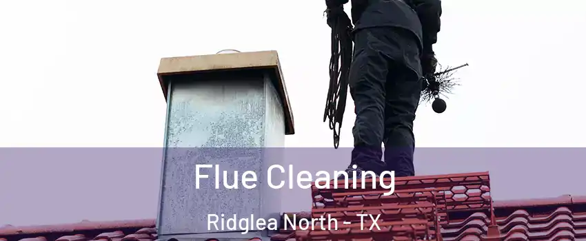 Flue Cleaning Ridglea North - TX