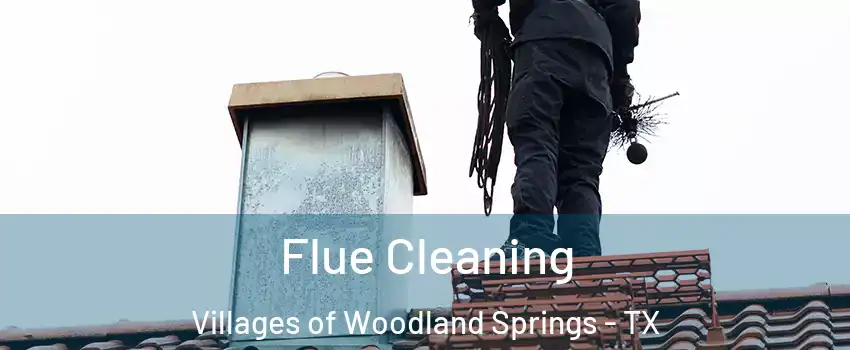 Flue Cleaning Villages of Woodland Springs - TX