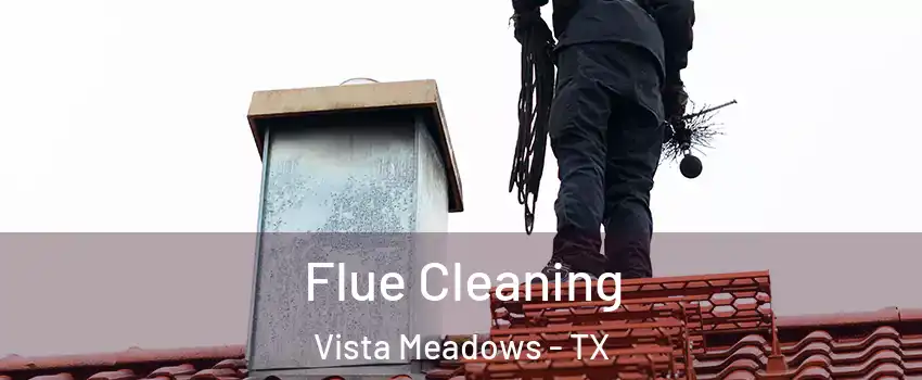 Flue Cleaning Vista Meadows - TX