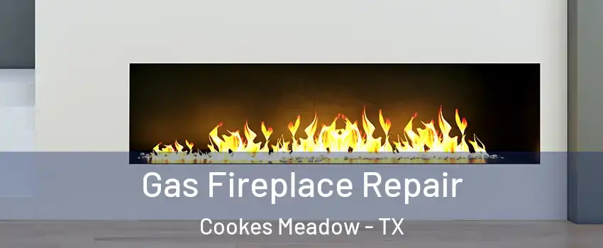 Gas Fireplace Repair Cookes Meadow - TX