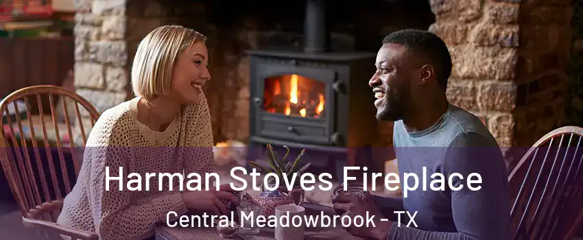 Harman Stoves Fireplace Central Meadowbrook - TX