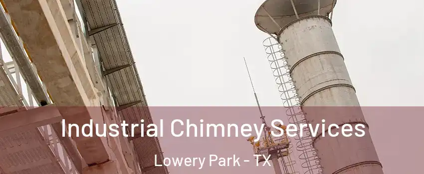 Industrial Chimney Services Lowery Park - TX