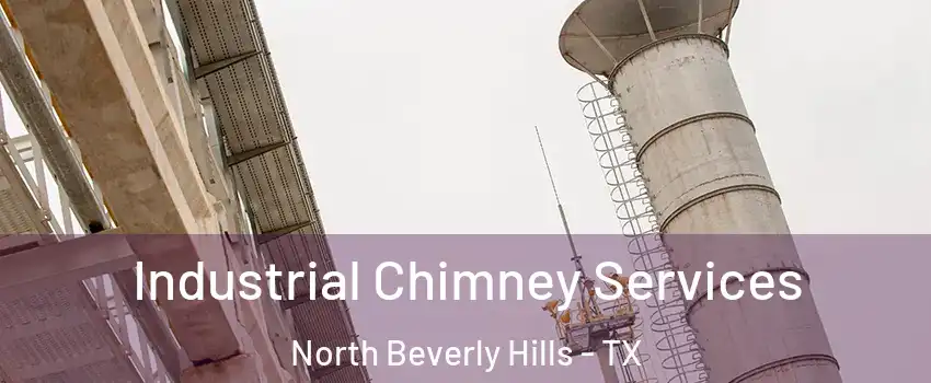 Industrial Chimney Services North Beverly Hills - TX