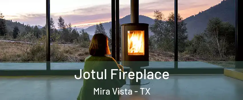 Jotul Fireplace Mira Vista - TX