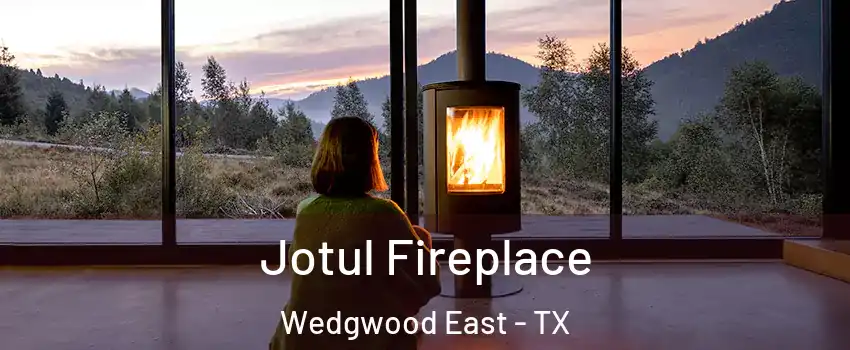 Jotul Fireplace Wedgwood East - TX