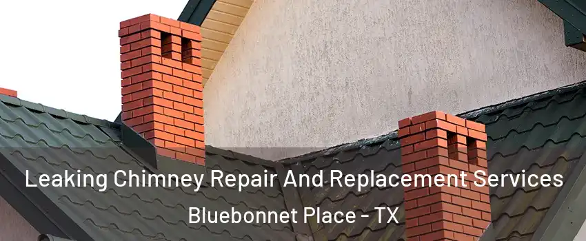 Leaking Chimney Repair And Replacement Services Bluebonnet Place - TX