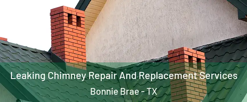 Leaking Chimney Repair And Replacement Services Bonnie Brae - TX