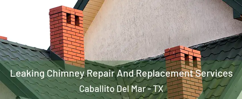 Leaking Chimney Repair And Replacement Services Caballito Del Mar - TX