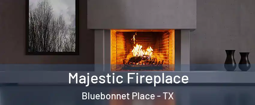 Majestic Fireplace Bluebonnet Place - TX