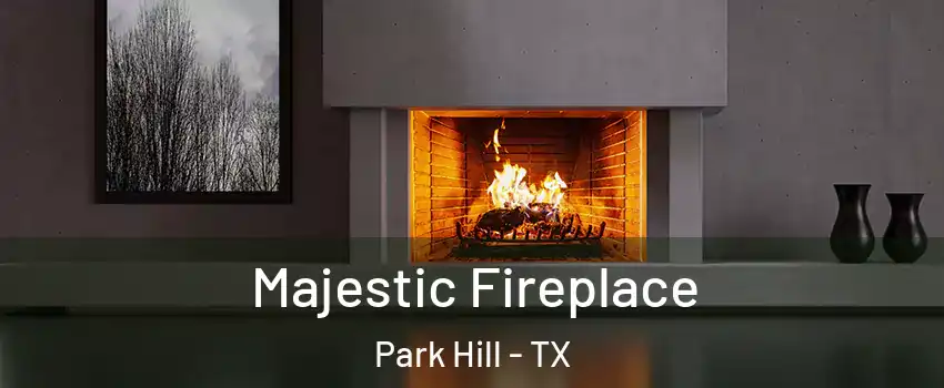 Majestic Fireplace Park Hill - TX