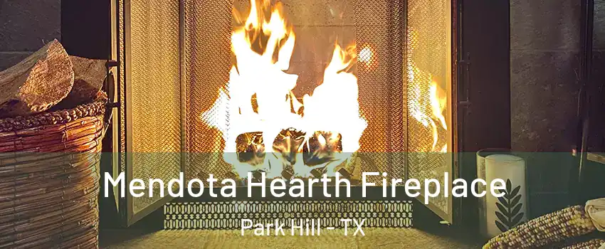 Mendota Hearth Fireplace Park Hill - TX