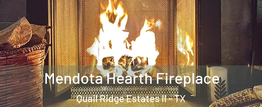 Mendota Hearth Fireplace Quail Ridge Estates II - TX