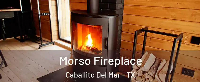 Morso Fireplace Caballito Del Mar - TX