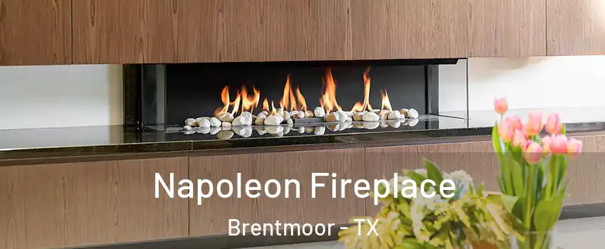 Napoleon Fireplace Brentmoor - TX