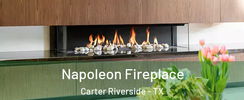 Napoleon Fireplace Carter Riverside - TX