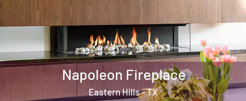 Napoleon Fireplace Eastern Hills - TX