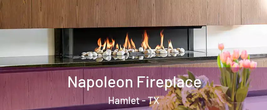 Napoleon Fireplace Hamlet - TX