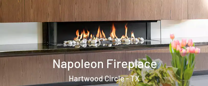 Napoleon Fireplace Hartwood Circle - TX