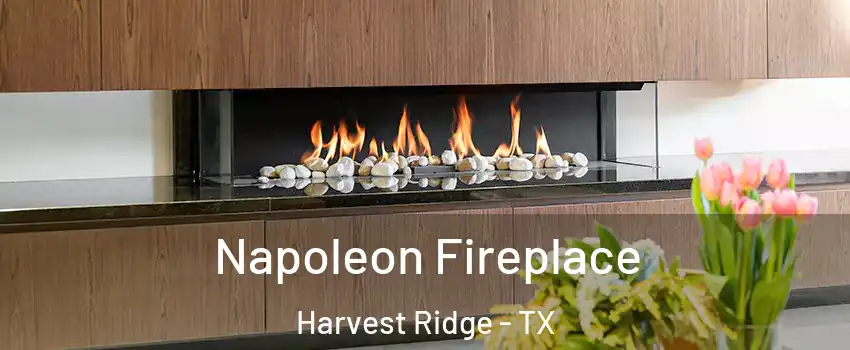 Napoleon Fireplace Harvest Ridge - TX