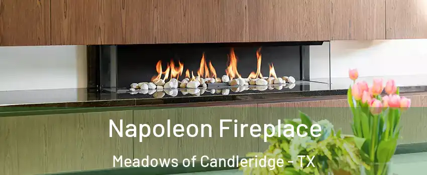 Napoleon Fireplace Meadows of Candleridge - TX