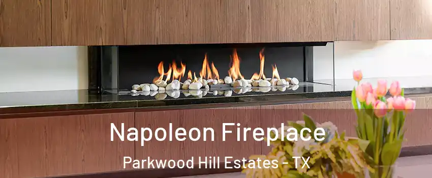 Napoleon Fireplace Parkwood Hill Estates - TX