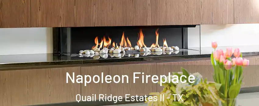 Napoleon Fireplace Quail Ridge Estates II - TX