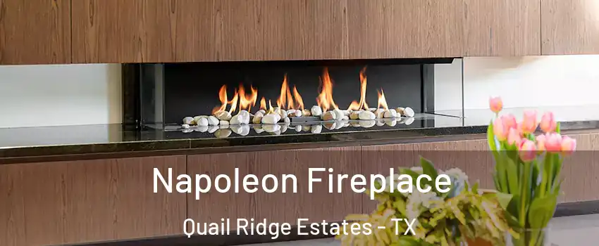 Napoleon Fireplace Quail Ridge Estates - TX