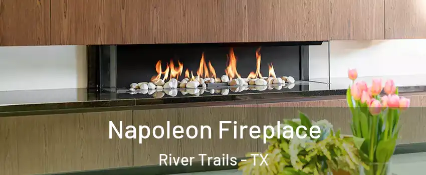 Napoleon Fireplace River Trails - TX