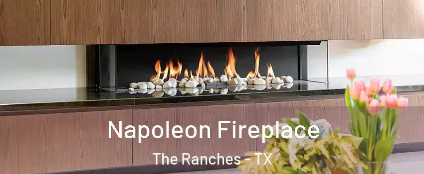 Napoleon Fireplace The Ranches - TX